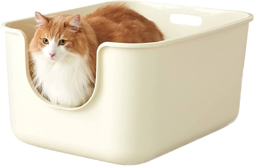 Amazon.co.jp: 【OFT】 TALL WALL BOX XL Plus アイボリー 本体 猫用