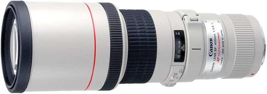 Amazon.com : Canon EF 400mm f/5.6L USM Super Telephoto Lens for