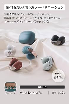 Amazon.co.jp: JVCケンウッド Victor HA-NP1T-H ワイヤレスイヤホン