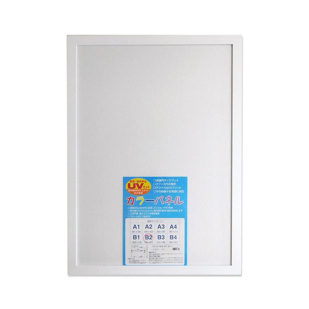 citrus サブロウタ ポスターフレームセット B2サイズ citrus