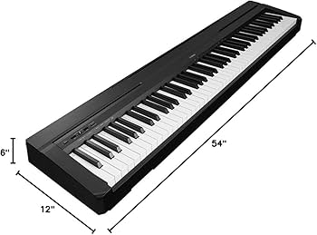 YAMAHA*P-45 デジタルピアノ Amazon.com: YAMAHA P45 88-Key Weighted