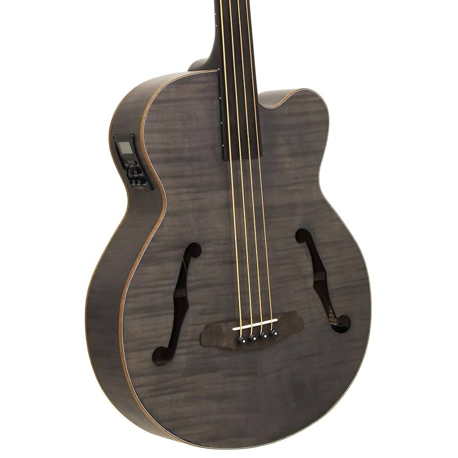 希少】Aria FEB-FLLVS アコースティックベース アリア エレアコ FEB-FL