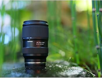 Amazon.com : Tamron 28-75mm F/2.8 Di III VXD G2 Lens for Sony E