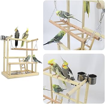 Amazon | 鳥の遊び場 止まり木 バードスタンド 天然木材 鳥 小鳥 文鳥