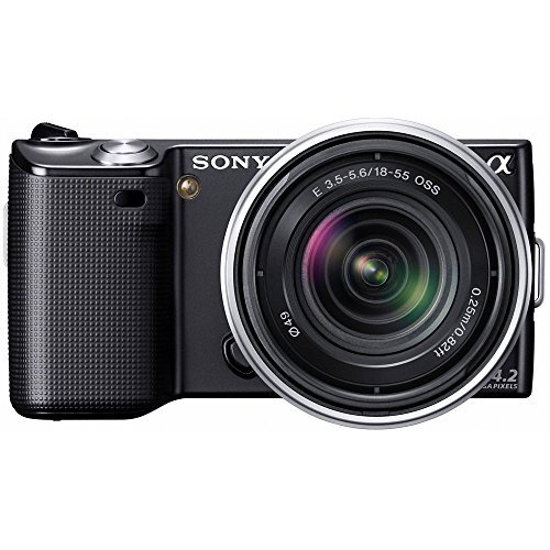 ソニー SONY NEX-5 ミラーレス デジタルー眼 カメラ フラッシュ付き