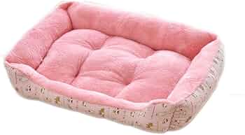 51QxhbEglsL._AC_UF350,