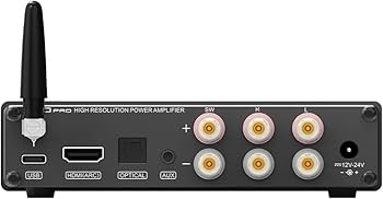 Amazon.com: S.M.S.L A50Pro,LPF&HPF,2.1 Channel Audio Amplifier