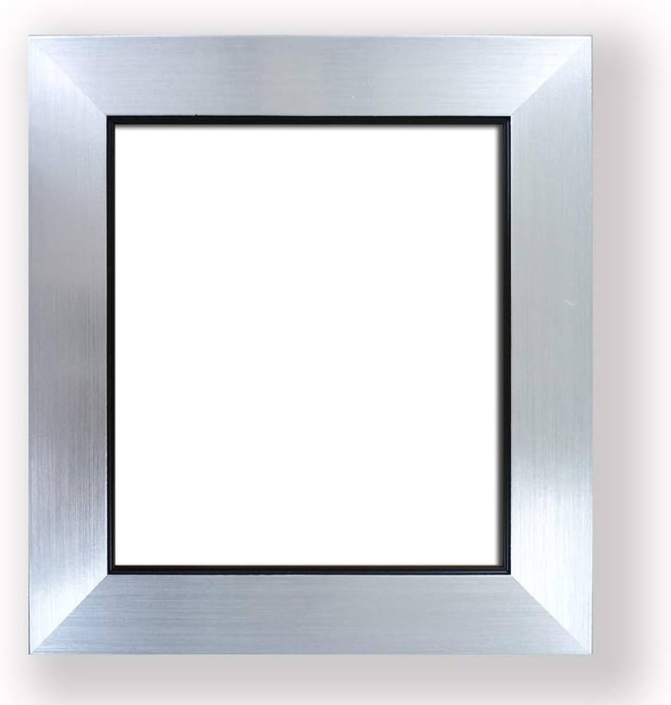 Amazon | 大仙 額縁 色紙額 風雅 シルバー 520100201 作品寸法:242