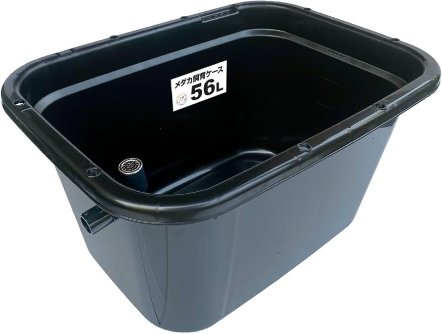Amazon | 五色アクア メダカ飼育容器 56リットル 黒 オーバーフロー