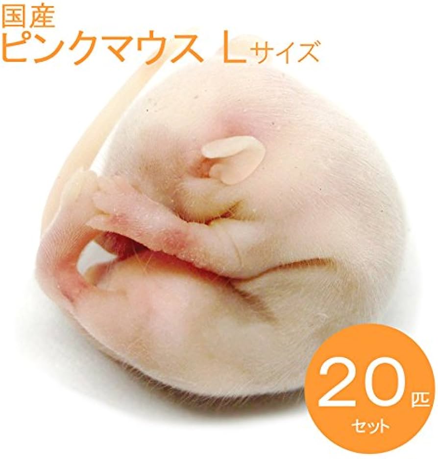 Amazon | 冷凍マウス ピンクマウス L 20匹 国産 SAfarm | SAfarm