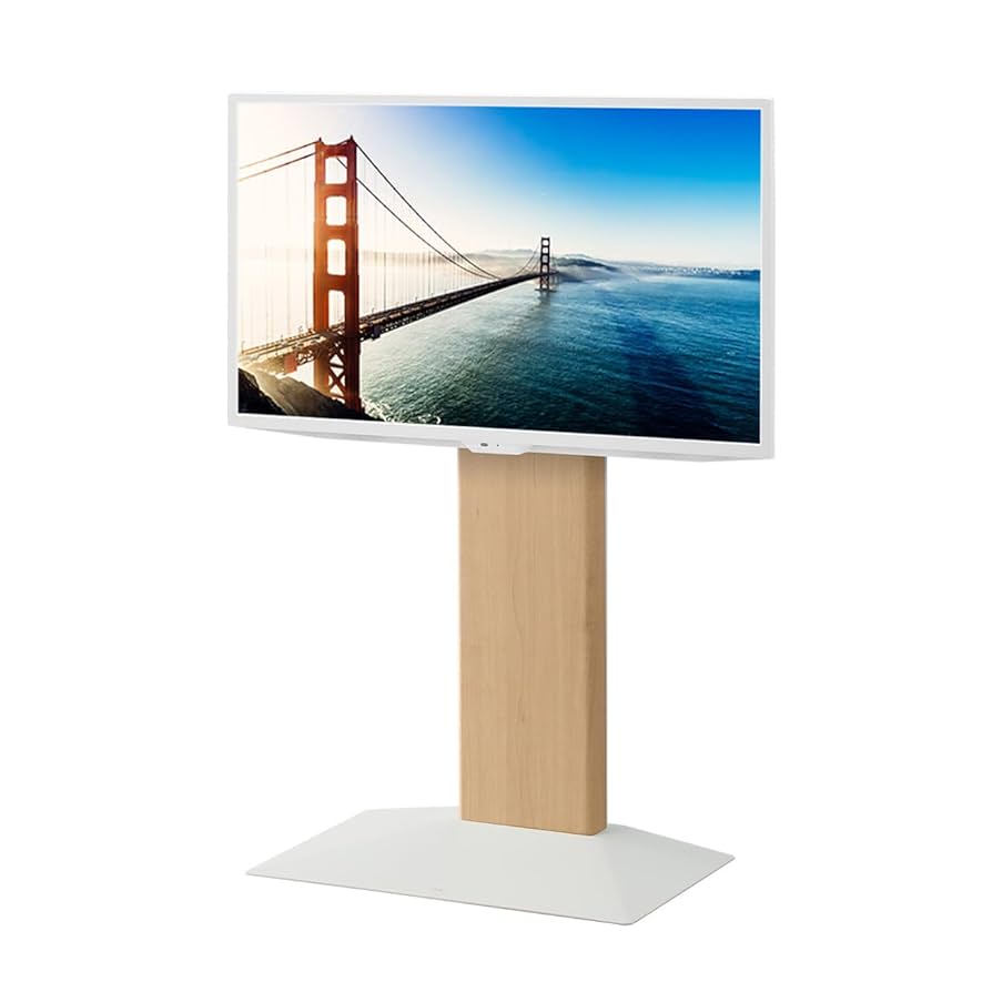 イコールズ テレビスタンド WALL V3 ロータイプ 壁寄せ オプション棚