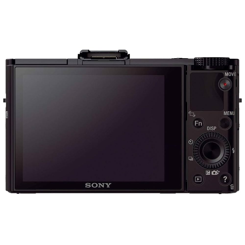 ソニー デジタルカメラ 1.0型センサー DSC-RX100M2