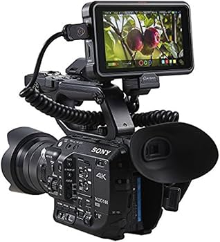 Amazon.com: Atomos Ninja V Ninja V 4Kp60 10bit HDR Daylight