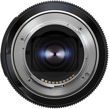 Amazon.co.jp: タムロン 90mm F2.8 Di III MACRO VXD ソニーE用 F072S