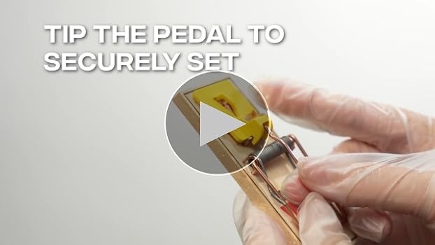 Amazon.com : Victor Easy Set Mouse Trap - 18 Pack (72 Total Traps