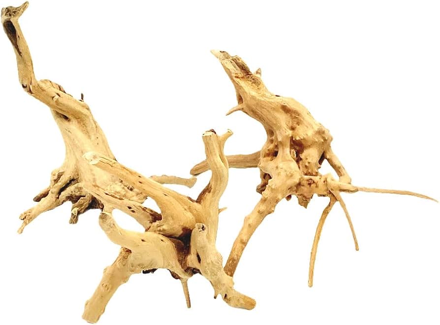 Amazon.co.jp: 10～15cm流木 ～30cm水槽用 形状お任せ