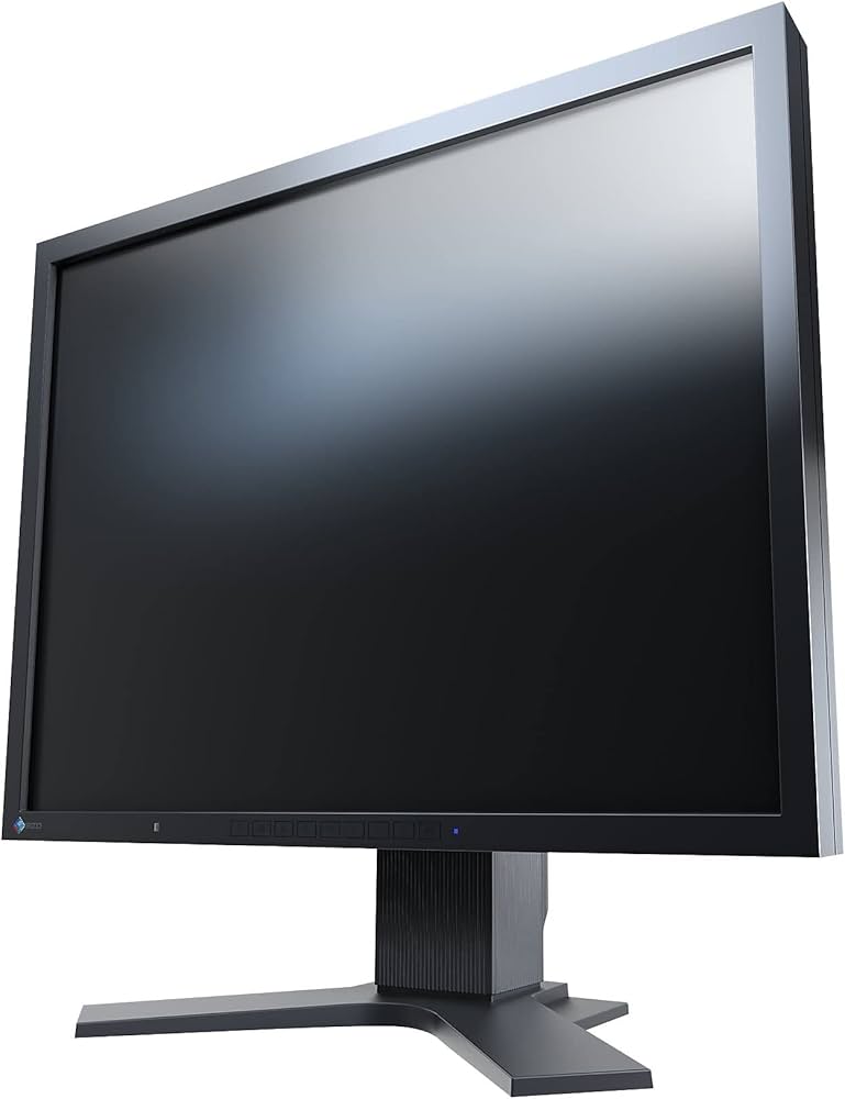 Amazon.com: Eizo FlexScan S2133-BK 21.3
