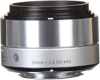 Amazon.com : SIGMA ART 30MM F2.8 DN SILVER LENS FOR MICRO FOUR