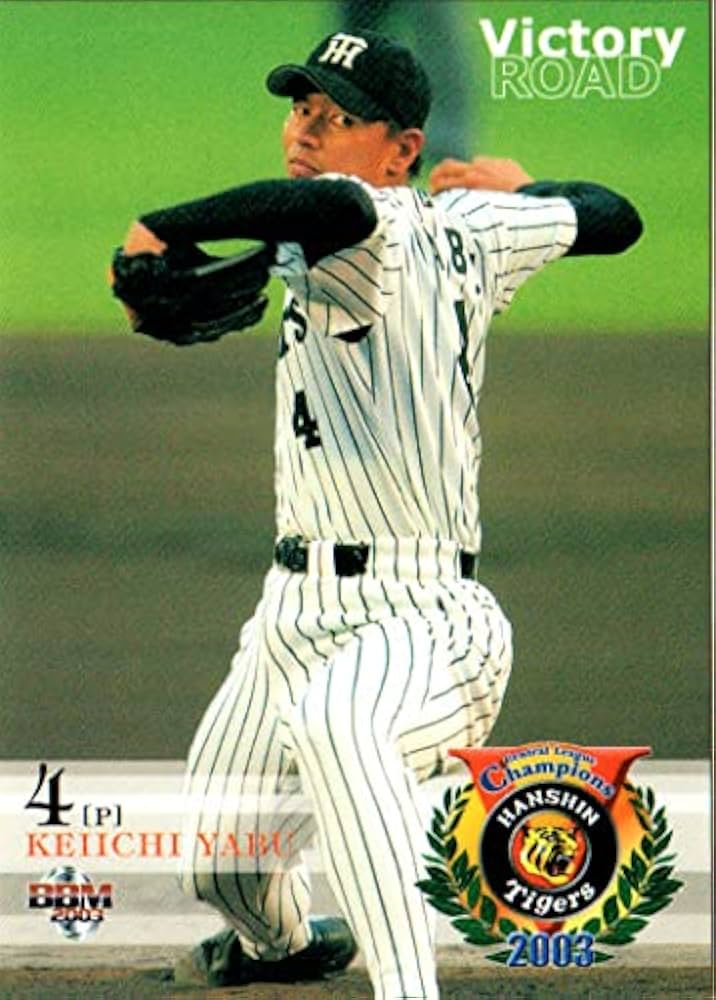 再々お値下け！阪神タイガース2003優勝フォトブック