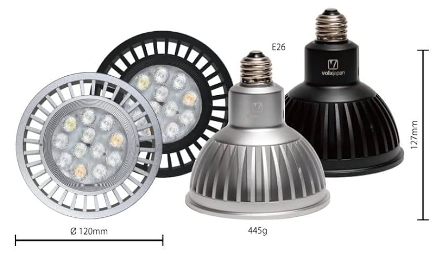 ボルクスジャパン グラッシーレディオRS122（フレッシュW）&レディオ