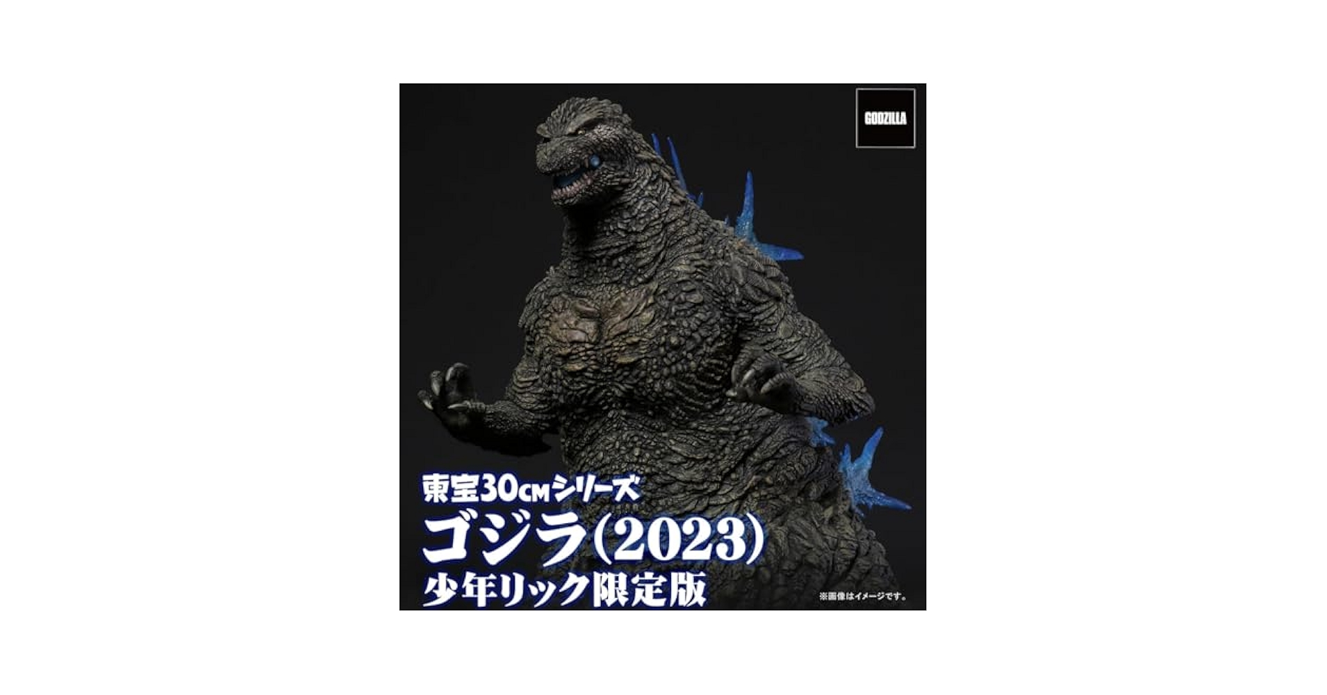 専用出品輸送箱未開封 東宝30cmシリーズ ゴジラ-1.0 少年リック限定版 専用