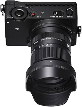 Amazon.com : Sigma 18-50mm F2.8 DC DN Contemporary (for E Mount