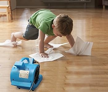 Amazon.com: BlueDri Mini Storm 1/12 HP Mini Air Mover Carpet Dryer