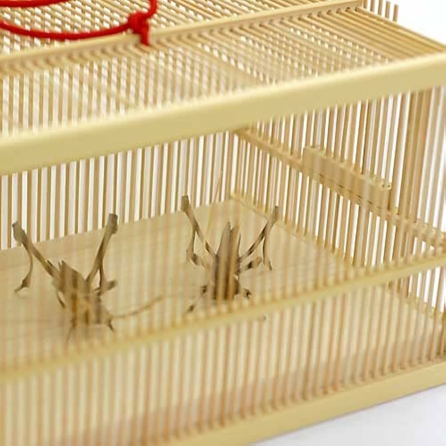 Amazon.co.jp: 駿河竹千筋細工 角型虫篭 虫籠 静岡県伝統工芸品 久保田