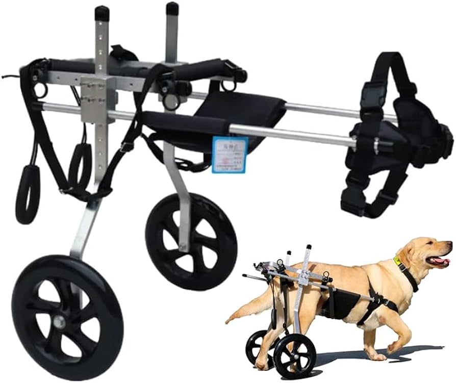 目立つ傷なし】中型犬用 車椅子 耐荷重20kg 説明書+六角レンチ付き