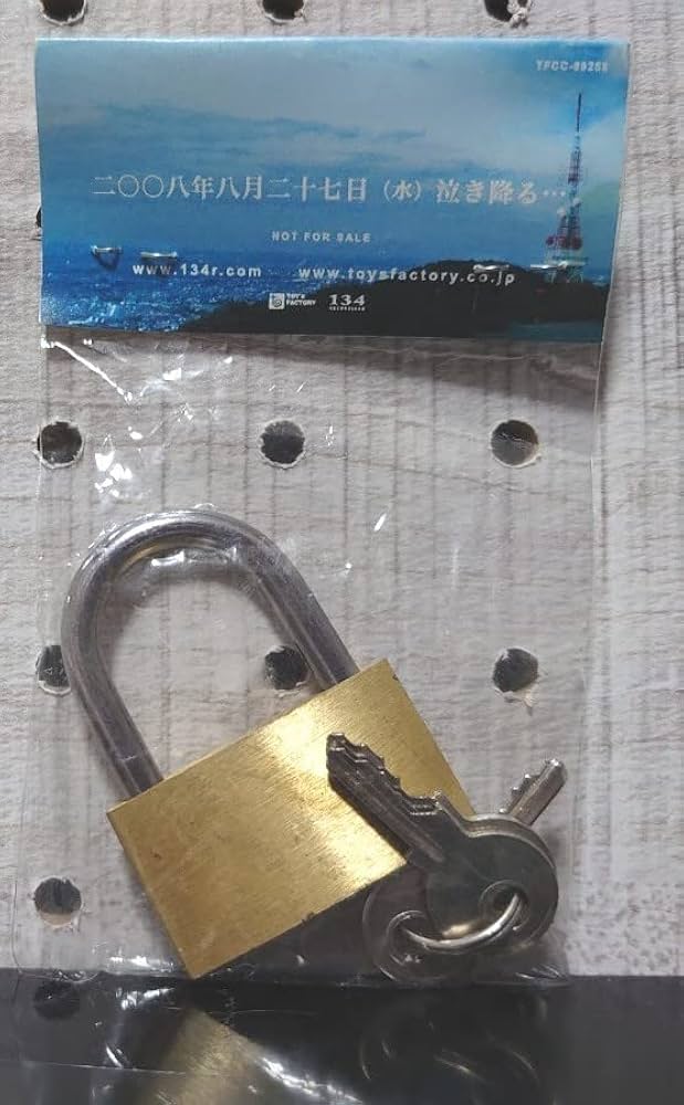 激レア】恋時雨 南京錠 鍵3本付き 湘南乃風 恋時雨 | DISCOGRAPHY