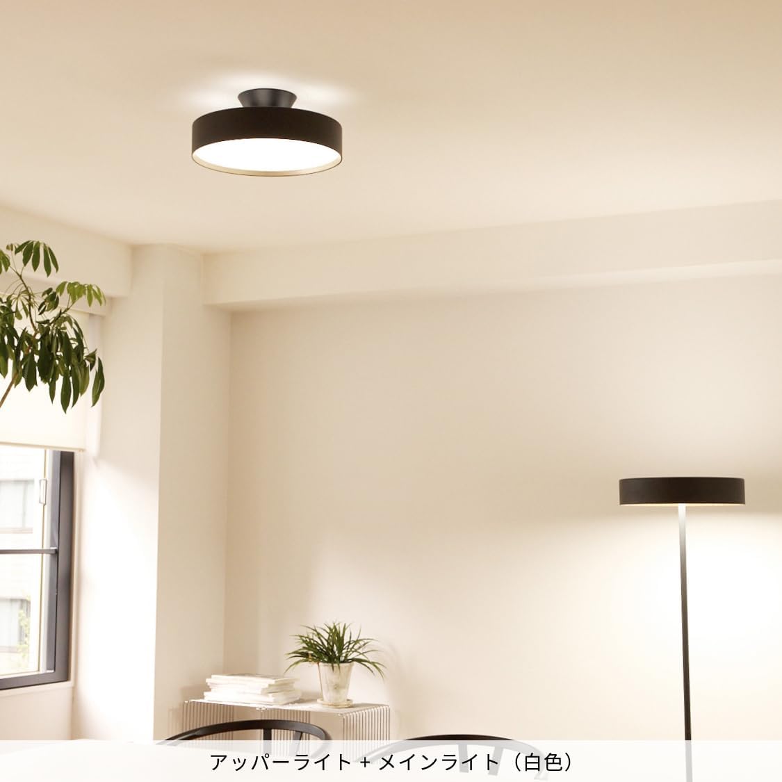 LOWYA Seablanc ブラック シーリングライト アッパーライト付き LOWYA