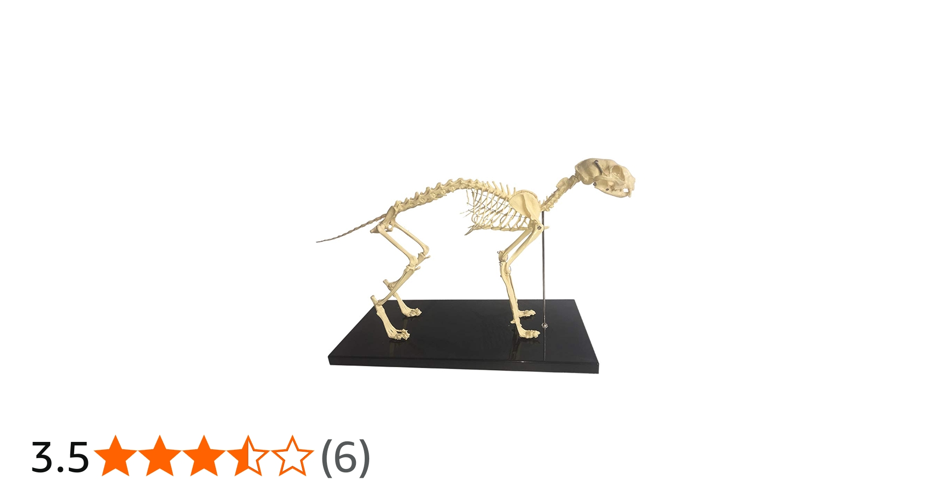 51hADlWhc-L.jpg_BO30,255,255,