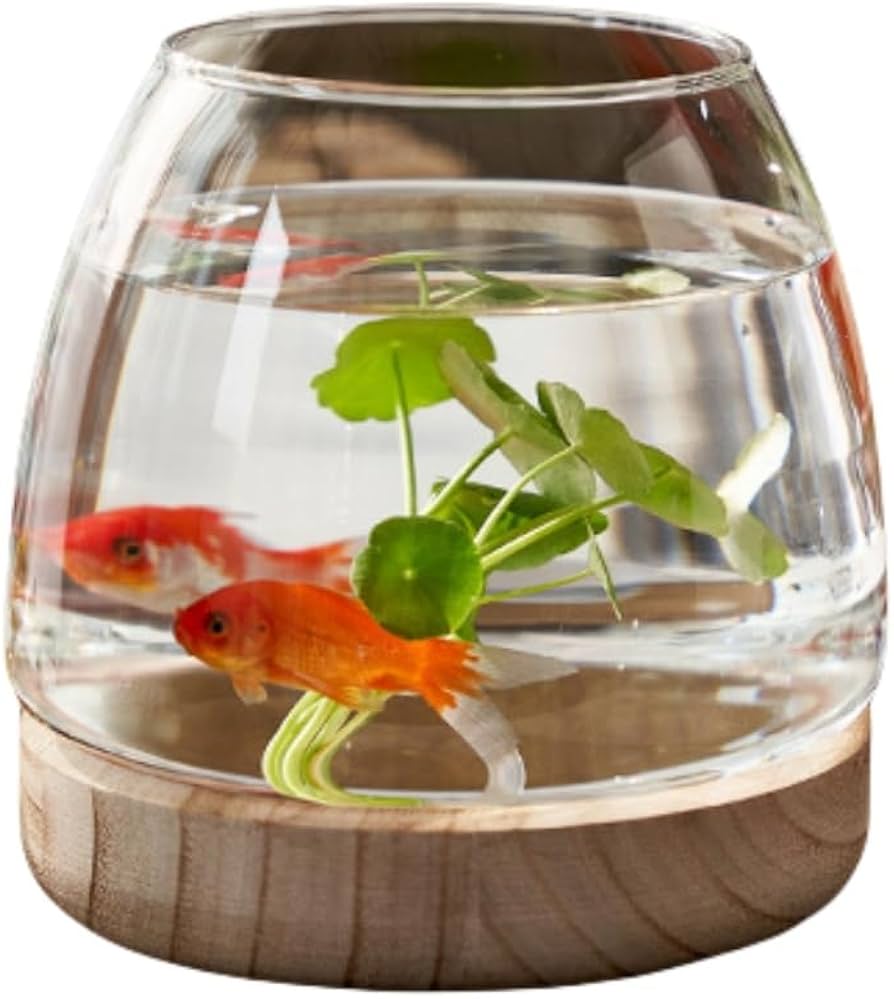 Amazon | zjdgweh 金魚鉢 ガラス 丸 金魚 水槽 小さい メダカ水槽 飼育