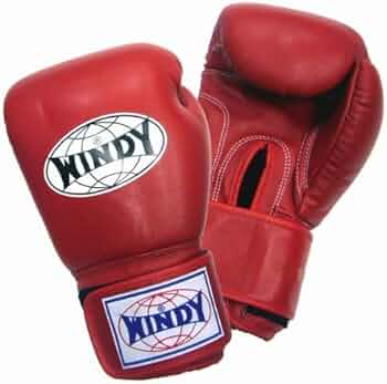 51hvIvn5apL._AC_UF350,