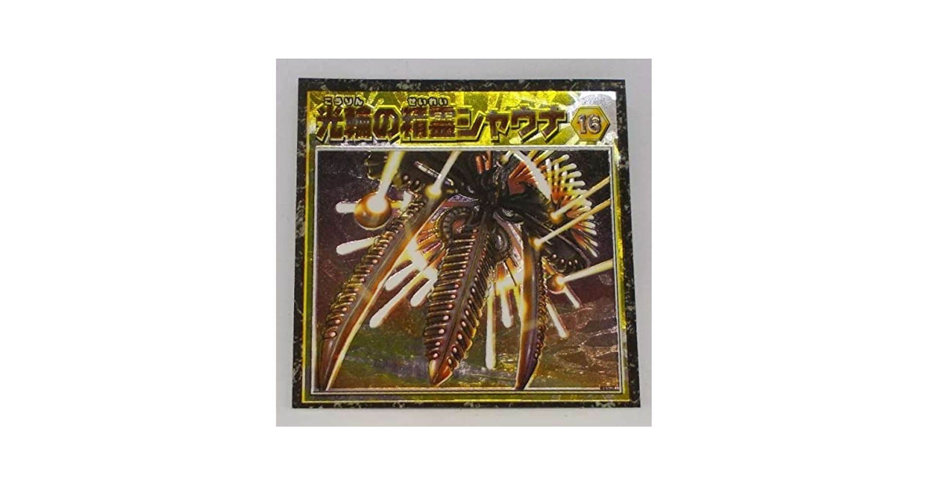 デュエマ 光輪の精霊シャウナ 英語版 PSA10 【公式通販】