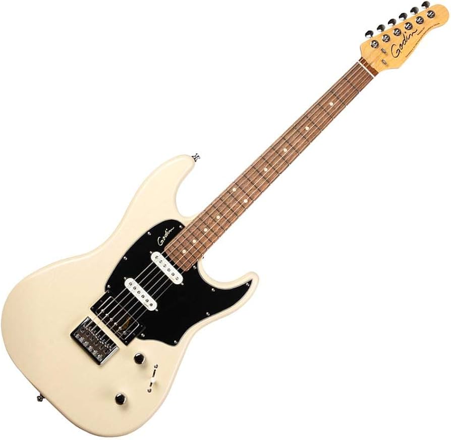 クリーニング済】 Godin model Solidacゴダンエレキギター