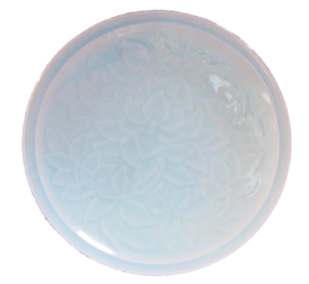 Amazon.co.jp: 美濃焼一尺皿30cm以上40cm未満 大皿 特大 食器 大きい