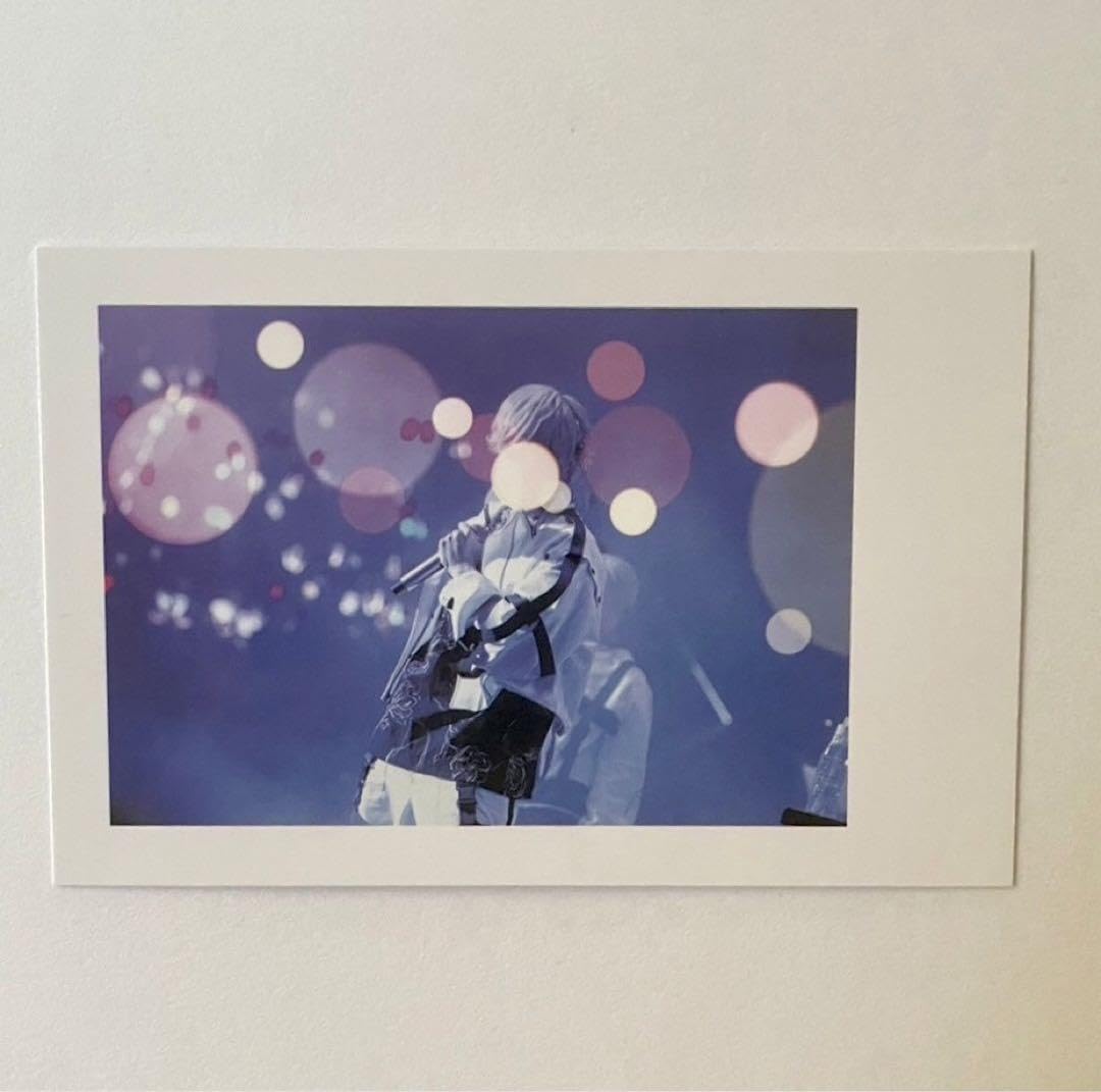 いれいす 初兎 武道館 実写 チェキ Paparazzi 最終値下げ いれいす 初