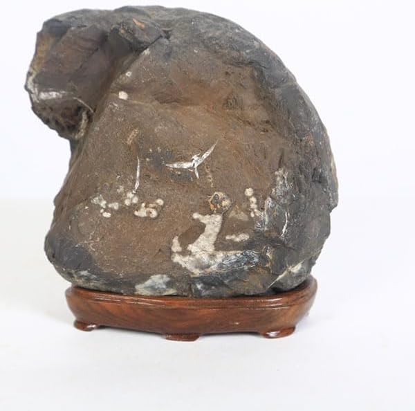 古谷石「台座付」鑑賞石 水石 盆石 紀州古谷石 【穴空き石】 希少