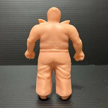 Amazon | キン消し 丸越デカ消し 第8弾（H型） 新ビッグ・ザ・武道