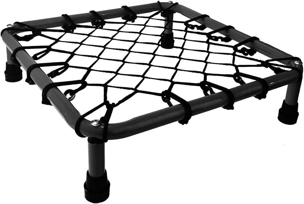 楽天市場】クレイジーキャッチ アップスタート2.0 クラシック