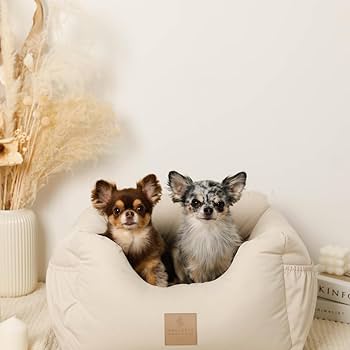 moncheri 撥水ふんわりドライブペットベッド Amazon | monchéri