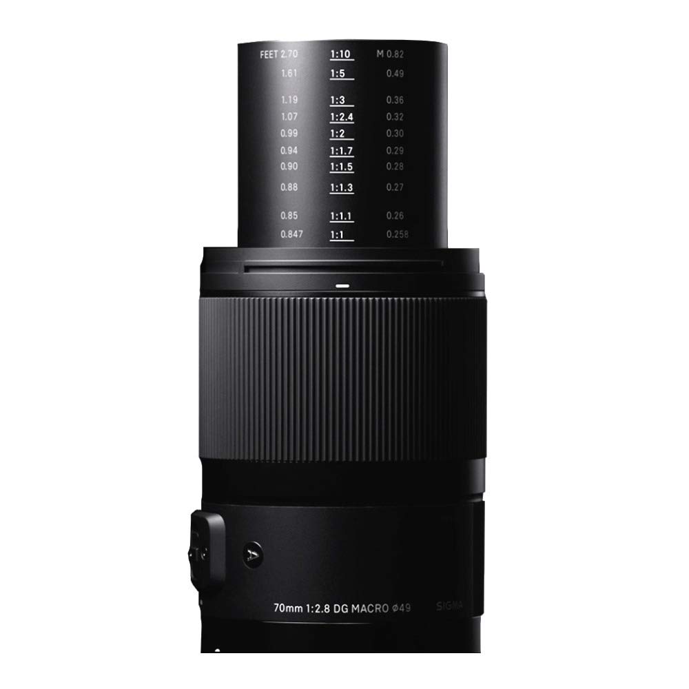 Amazon.com : Sigma 271965 70mm F2.8 Art DG Macro for Sony E, Black
