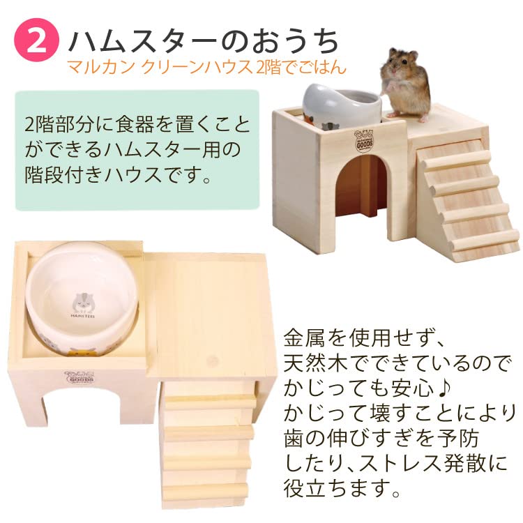 ハムスター飼育セット(マット×7、フード×2、砂×4付き！) ハムスター