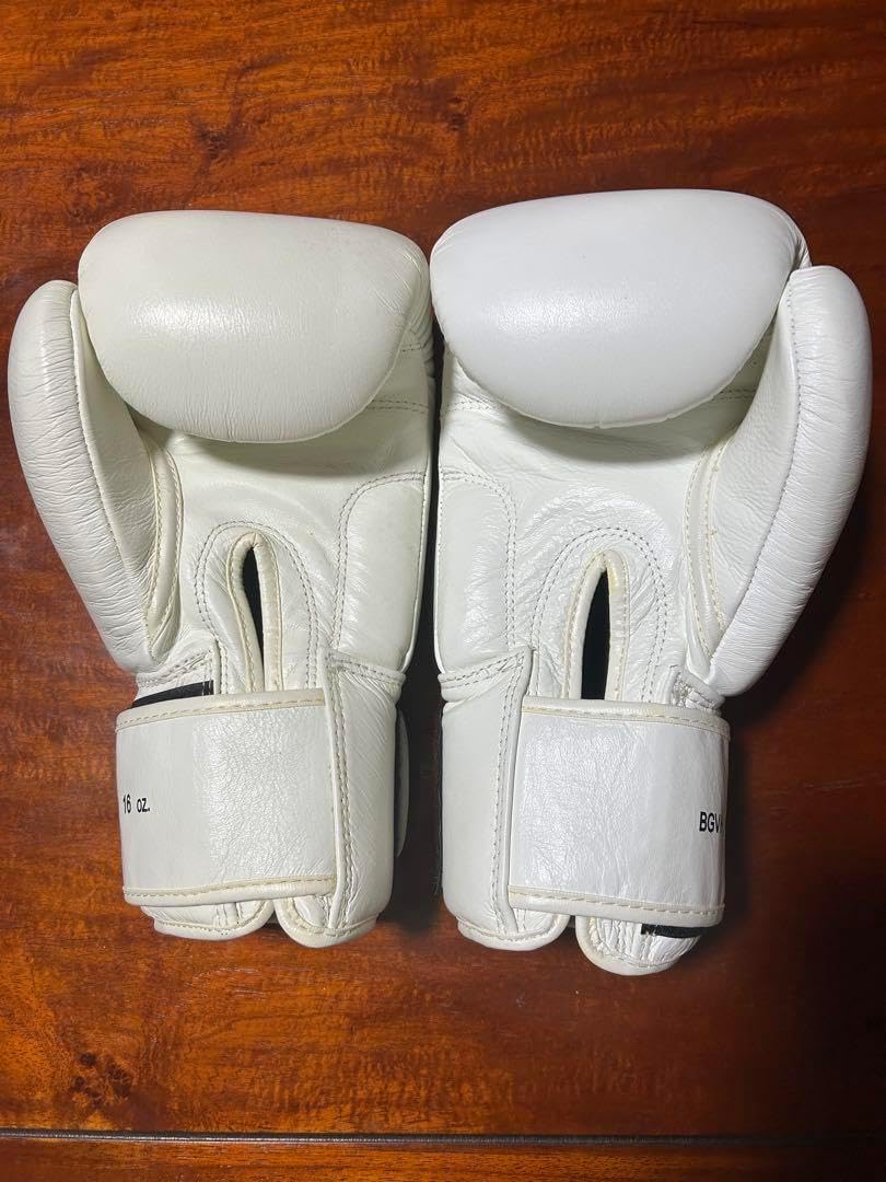 ボクシンググローブ☆WINDY