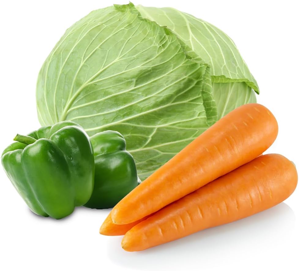 農薬不使用 自然農法 リクガメ 桑の葉 季節の野菜野草の詰め合わせ