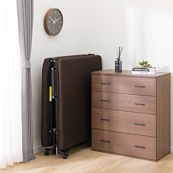 Amazon｜ニトリ(NITORI) 折りたたみベッド ダブルメッシュ3 BR 2020095