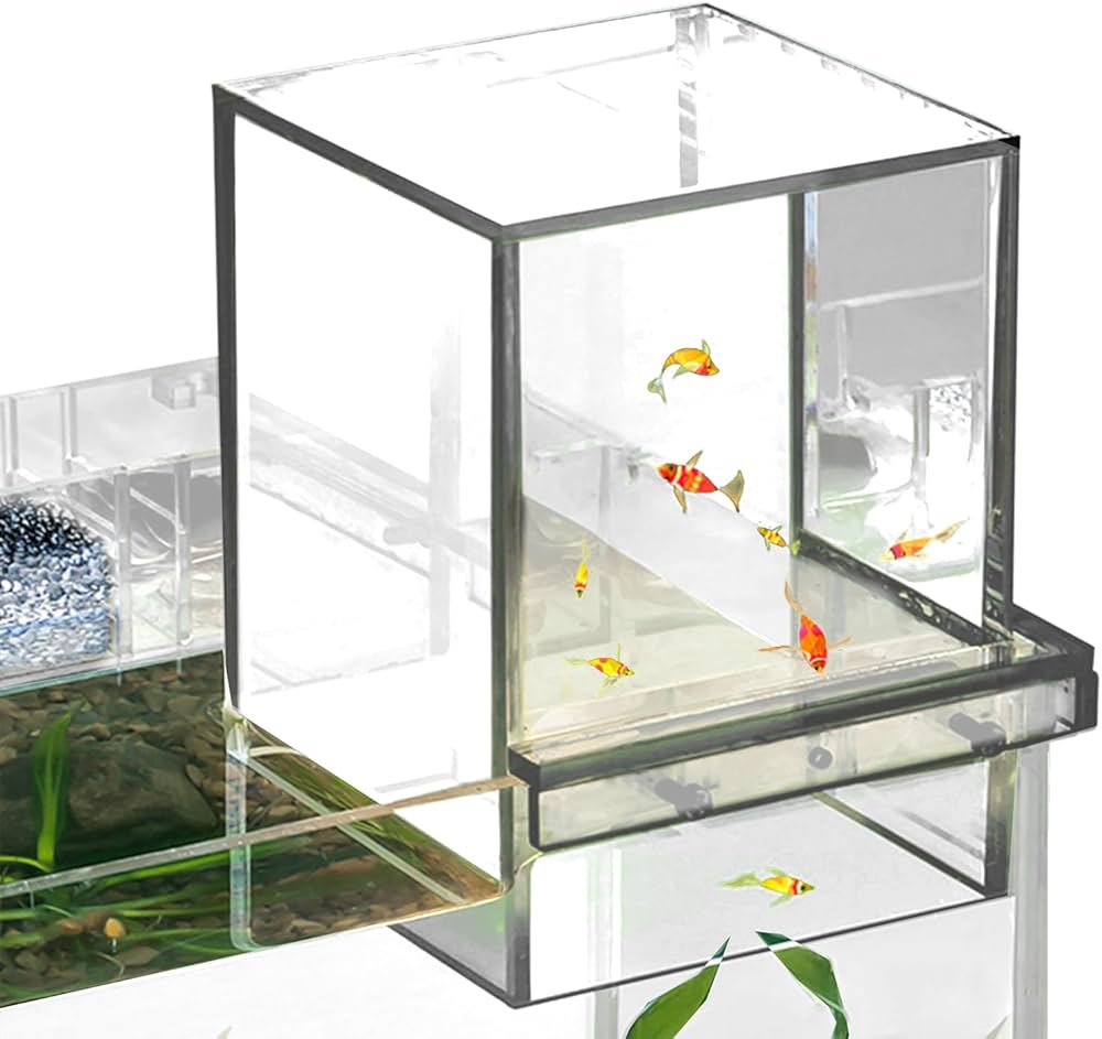 アクリル水槽 横1500×奥行30×高さ600 発送不可！