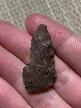 617F0KwWrNL._AC_UF350,