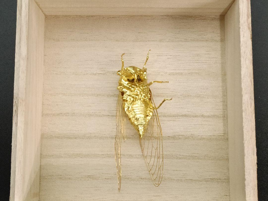 銅製置物 勝虫 蜻蛉 金メッキ 金工品 青色 銅製 薄翼 インテリア置物